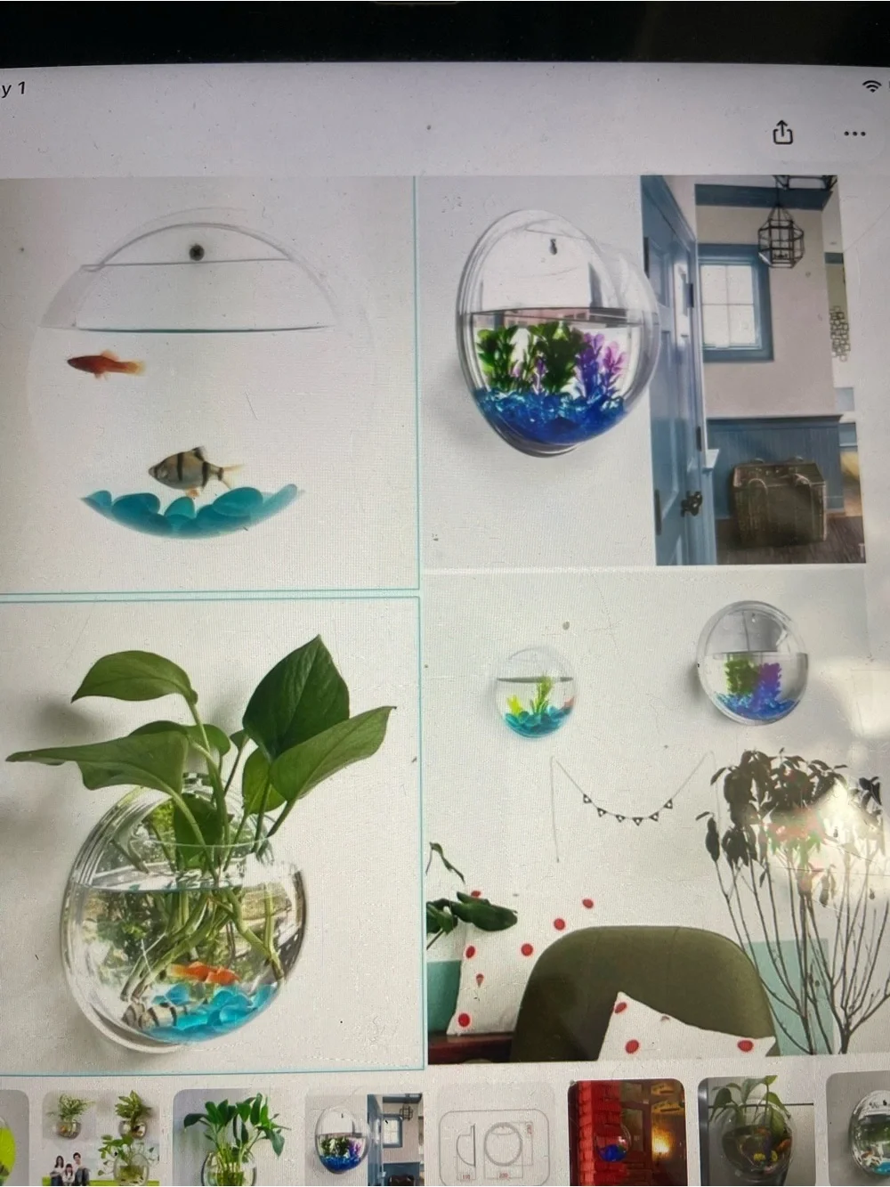 Hanging Clear Wall Fish Tank Bowl - Transparent
